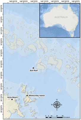 Socially Complex Breeding Interactions in Humpback Whales Are Mediated Using a Complex Acoustic Repertoire